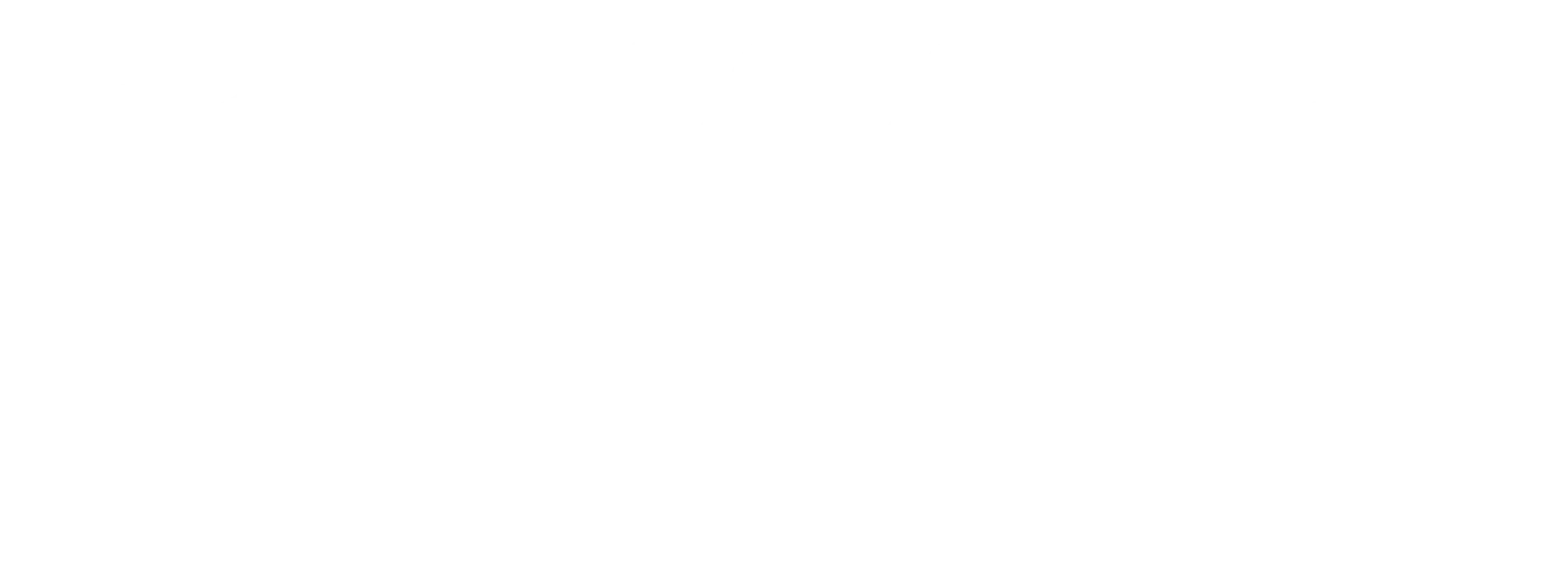 HAAS & MEDEIROS